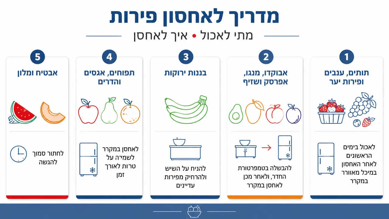 טבלת חלוקת פירות לפי זמן צריכה ושימוש